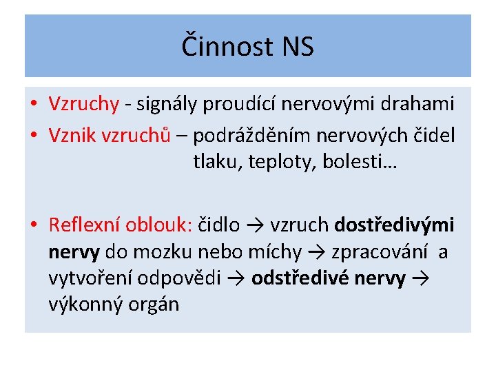 Činnost NS • Vzruchy - signály proudící nervovými drahami • Vznik vzruchů – podrážděním
