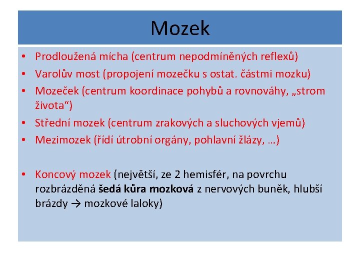 Mozek • Prodloužená mícha (centrum nepodmíněných reflexů) • Varolův most (propojení mozečku s ostat.
