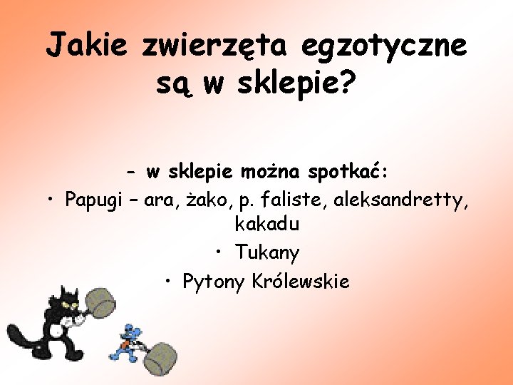 Jakie zwierzęta egzotyczne są w sklepie? - w sklepie można spotkać: • Papugi –