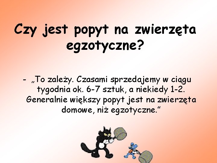 Czy jest popyt na zwierzęta egzotyczne? - „To zależy. Czasami sprzedajemy w ciągu tygodnia