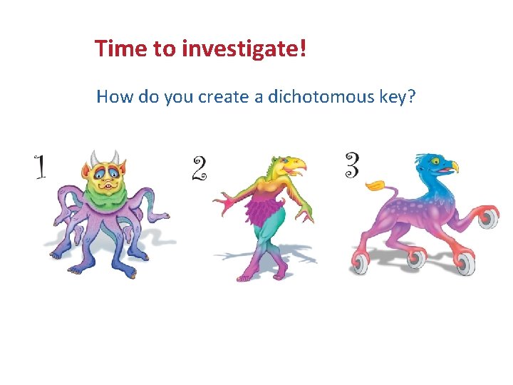 Dichotomous Keys: TEKS 7. 11 A Time to investigate! How do you create a