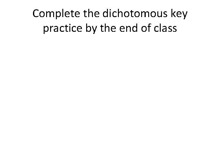 Complete the dichotomous key practice by the end of class 