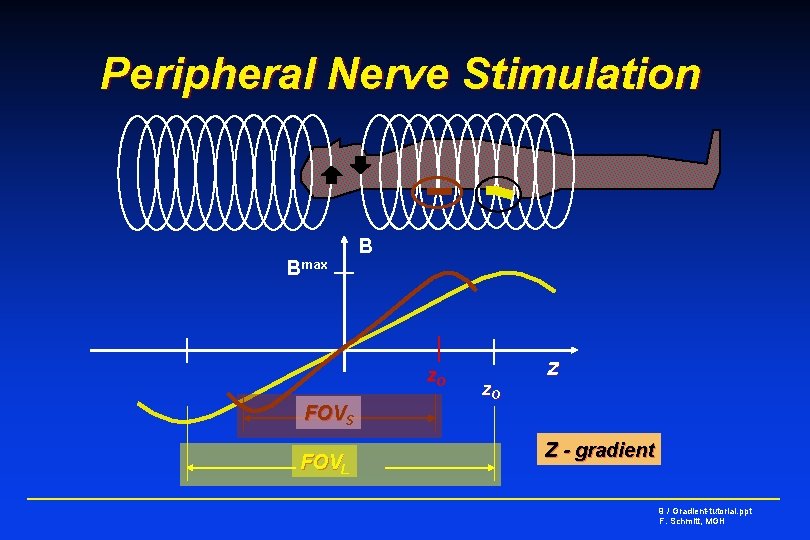 Peripheral Nerve Stimulation Bmax B z. O FOVS FOVL z. O z Z -
