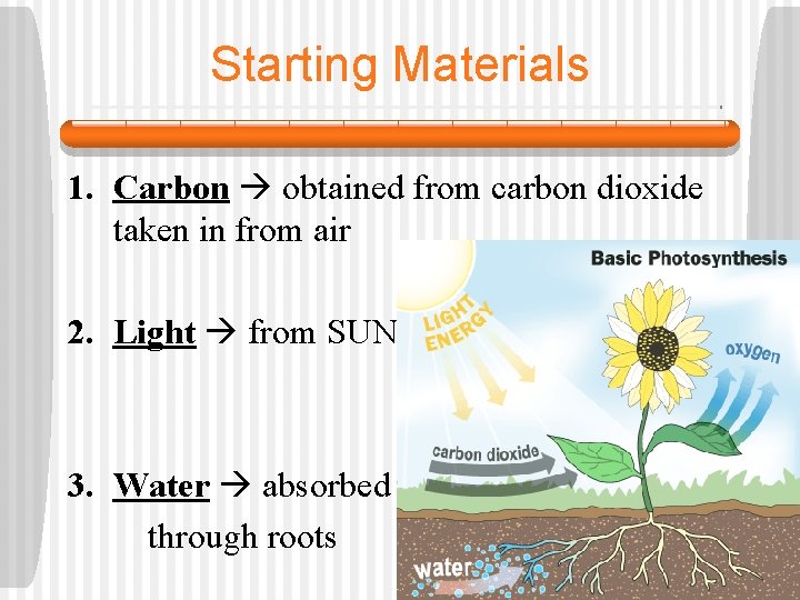 Starting Materials 1. Carbon obtained from carbon dioxide taken in from air 2. Light