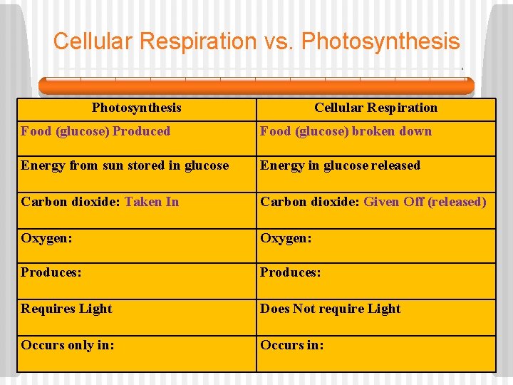 Cellular Respiration vs. Photosynthesis Cellular Respiration Food (glucose) Produced Food (glucose) broken down Energy