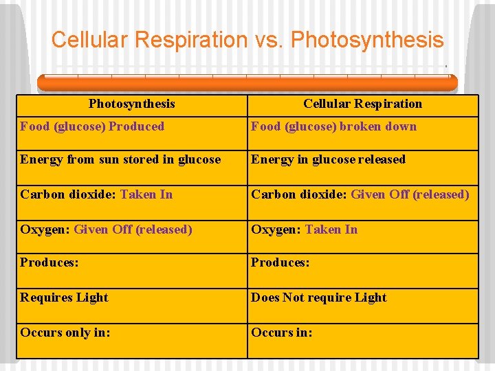 Cellular Respiration vs. Photosynthesis Cellular Respiration Food (glucose) Produced Food (glucose) broken down Energy