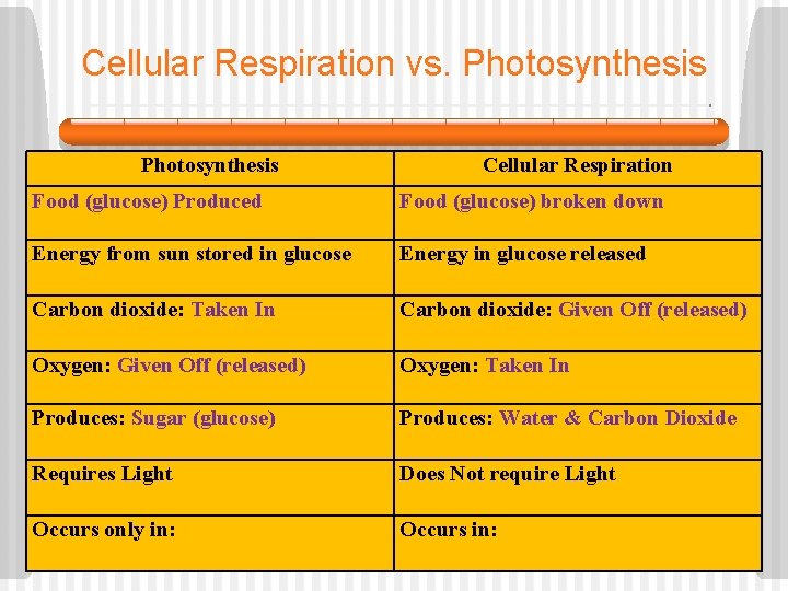 Cellular Respiration vs. Photosynthesis Cellular Respiration Food (glucose) Produced Food (glucose) broken down Energy