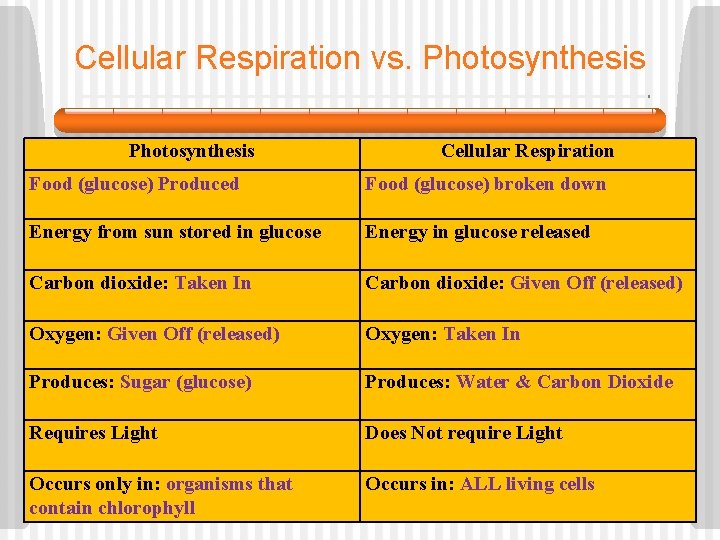 Cellular Respiration vs. Photosynthesis Cellular Respiration Food (glucose) Produced Food (glucose) broken down Energy