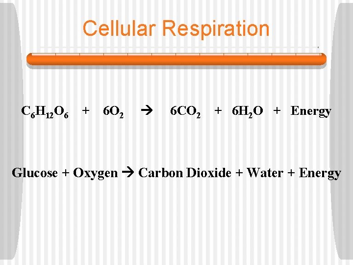 Cellular Respiration C 6 H 12 O 6 + 6 O 2 6 CO