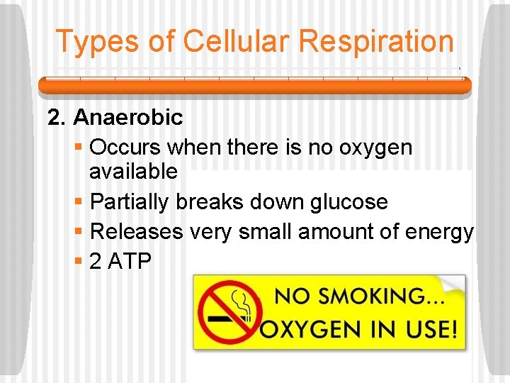 Types of Cellular Respiration 2. Anaerobic § Occurs when there is no oxygen available