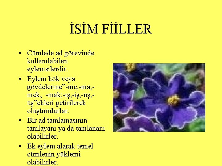 İSİM FİİLLER • Cümlede ad görevinde kullanılabilen eylemsilerdir. • Eylem kök veya gövdelerine”-me, -ma;