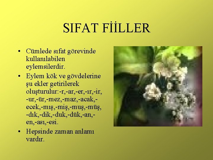 SIFAT FİİLLER • Cümlede sıfat görevinde kullanılabilen eylemsilerdir. • Eylem kök ve gövdelerine şu