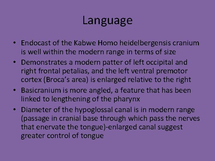 Language • Endocast of the Kabwe Homo heidelbergensis cranium is well within the modern