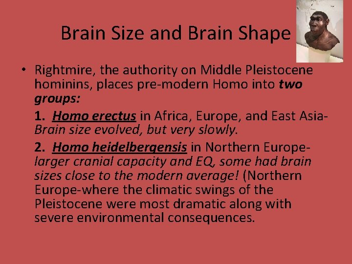 Brain Size and Brain Shape • Rightmire, the authority on Middle Pleistocene hominins, places