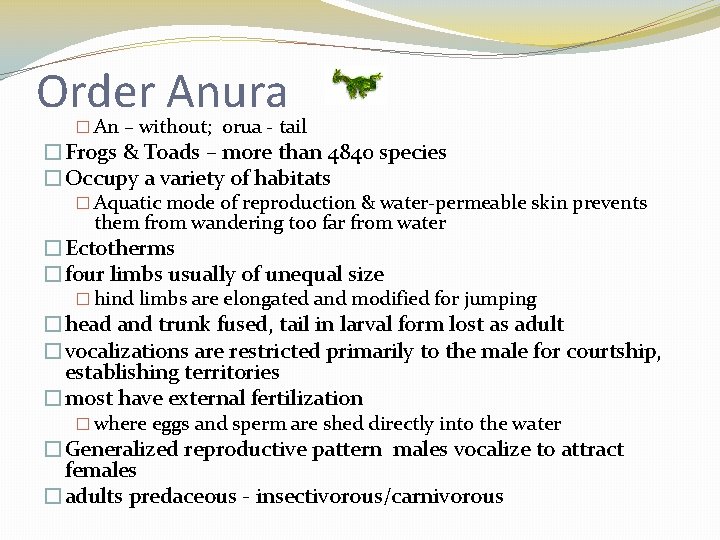 Order Anura � An – without; orua - tail �Frogs & Toads – more
