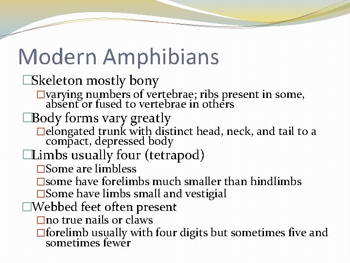 Modern Amphibians �Skeleton mostly bony �varying numbers of vertebrae; ribs present in some, absent