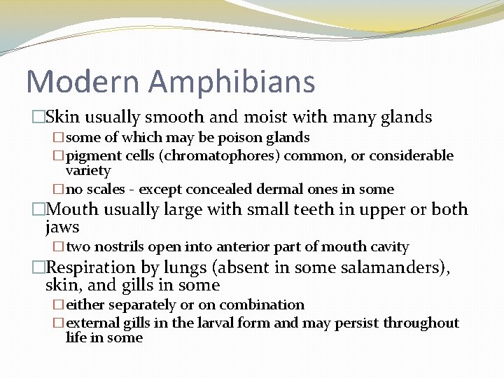 Modern Amphibians �Skin usually smooth and moist with many glands �some of which may