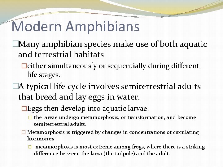 Modern Amphibians �Many amphibian species make use of both aquatic and terrestrial habitats �either