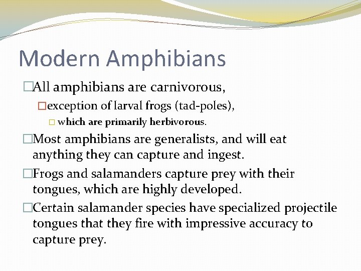 Modern Amphibians �All amphibians are carnivorous, �exception of larval frogs (tad-poles), � which are