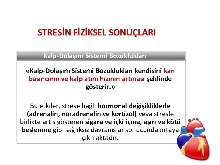 STRESİN FİZİKSEL SONUÇLARI Kalp-Dolaşım Sistemi Bozuklukları «Kalp-Dolaşım Sistemi Bozuklukları kendisini kan basıncının ve kalp