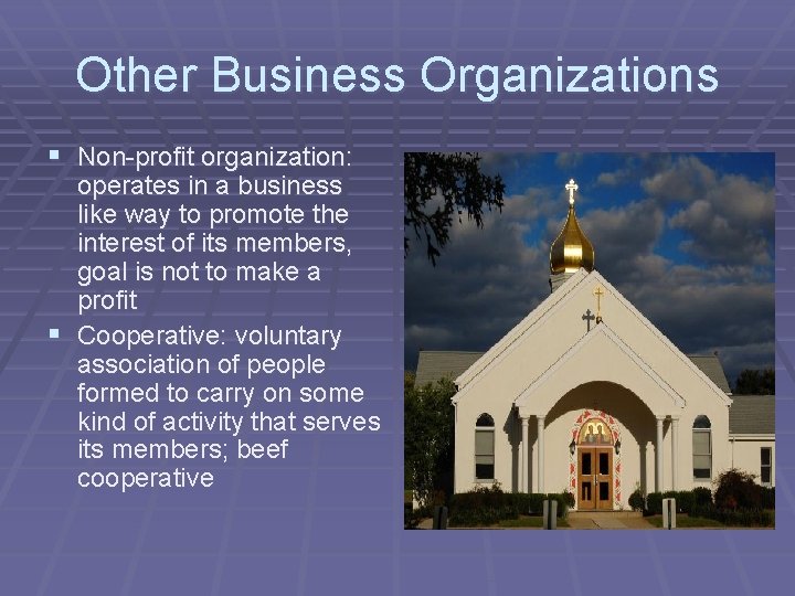 Other Business Organizations § Non-profit organization: operates in a business like way to promote