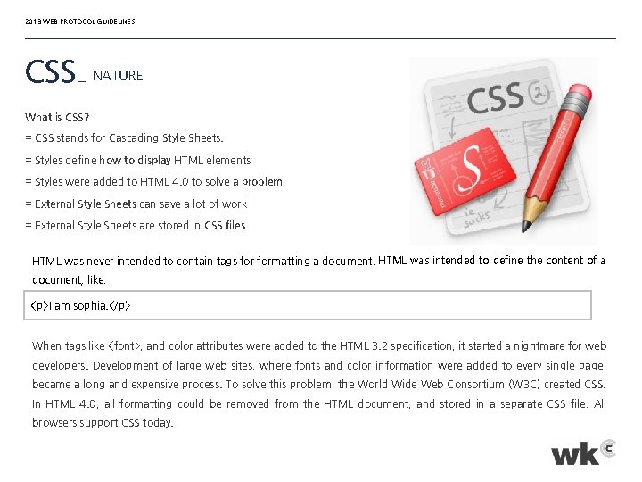 2013 WEB PROTOCOL GUIDELINES CSS _ NATURE What is CSS? = CSS stands for