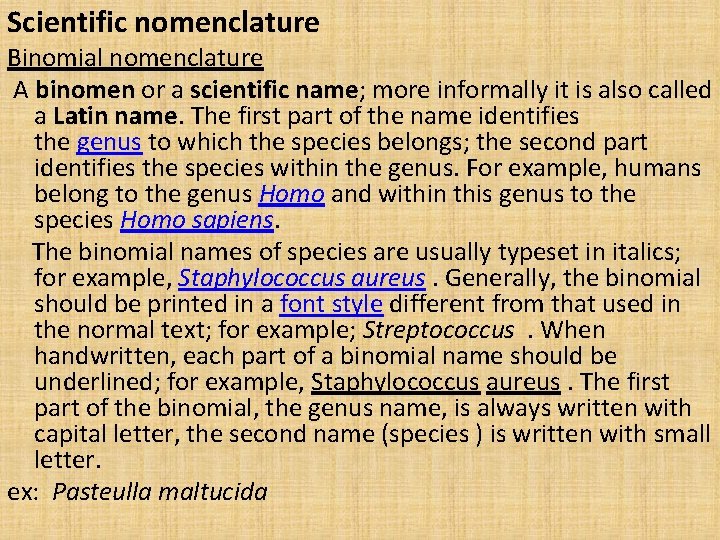 Scientific nomenclature Binomial nomenclature A binomen or a scientific name; more informally it is
