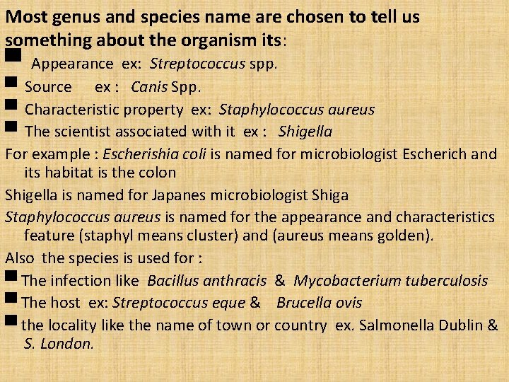 Most genus and species name are chosen to tell us something about the organism