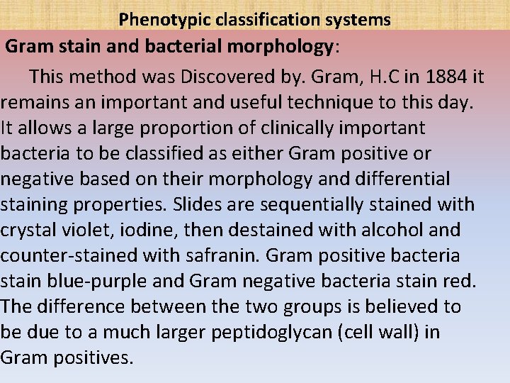 Phenotypic classification systems Gram stain and bacterial morphology: This method was Discovered by. Gram,
