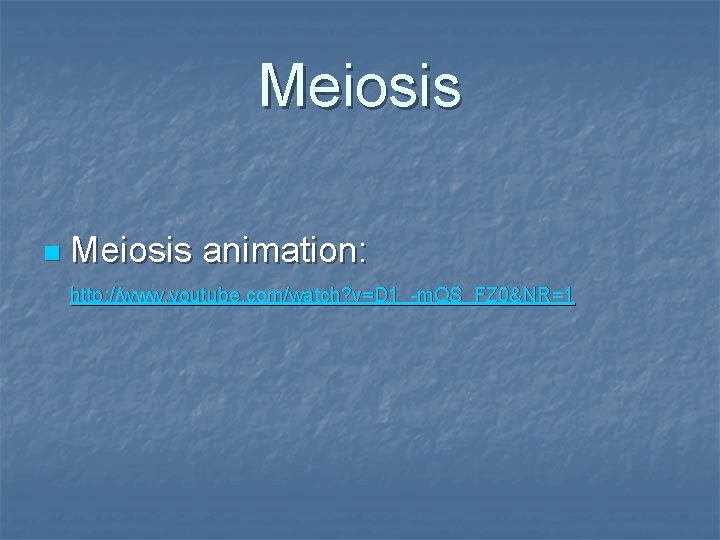 Meiosis n Meiosis animation: http: //www. youtube. com/watch? v=D 1_-m. QS_FZ 0&NR=1 Meiosis n Meiosis animation: http: //www. youtube. com/watch? v=D 1_-m. QS_FZ 0&NR=1