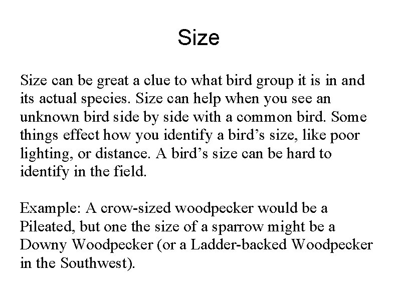 Size can be great a clue to what bird group it is in and