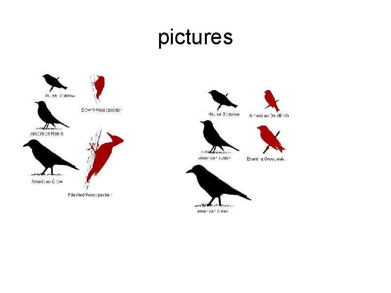 pictures 
