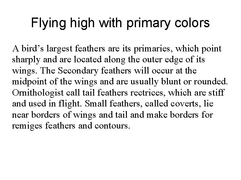 Flying high with primary colors A bird’s largest feathers are its primaries, which point