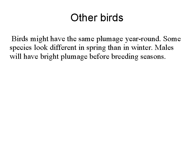 Other birds Birds might have the same plumage year-round. Some species look different in