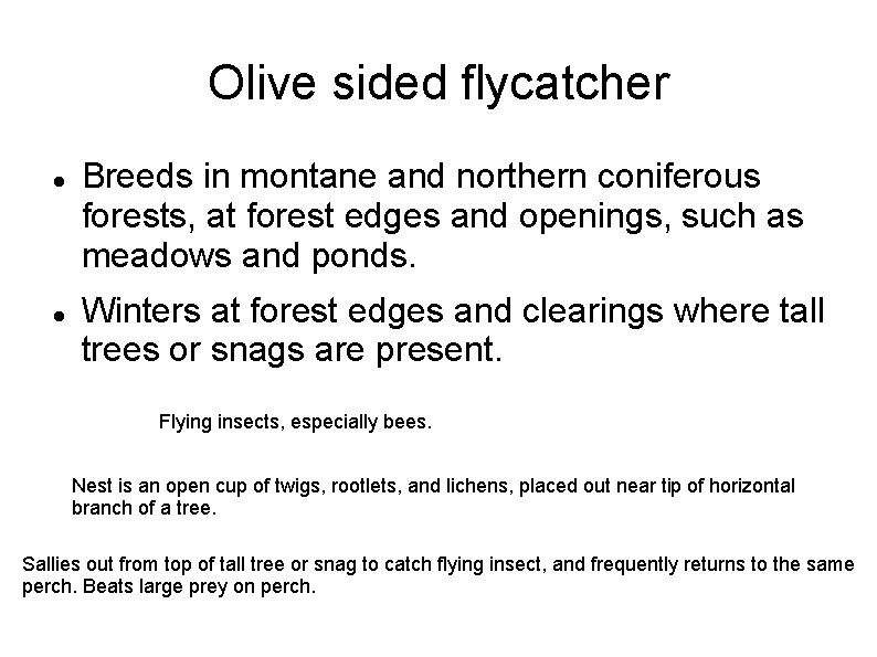 Olive sided flycatcher Breeds in montane and northern coniferous forests, at forest edges and