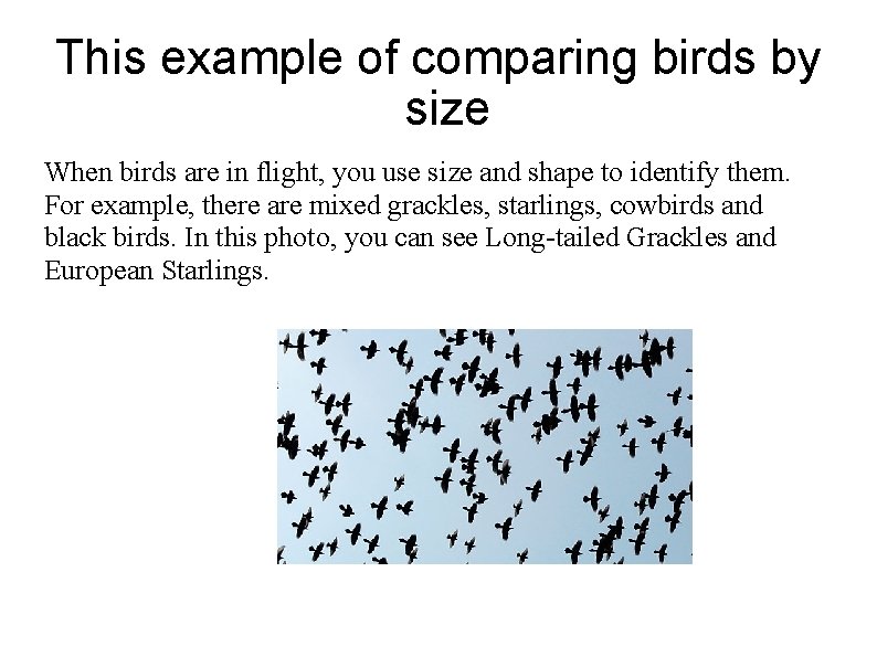 This example of comparing birds by size When birds are in flight, you use