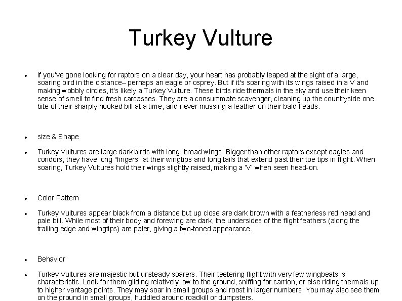 Turkey Vulture If you’ve gone looking for raptors on a clear day, your heart