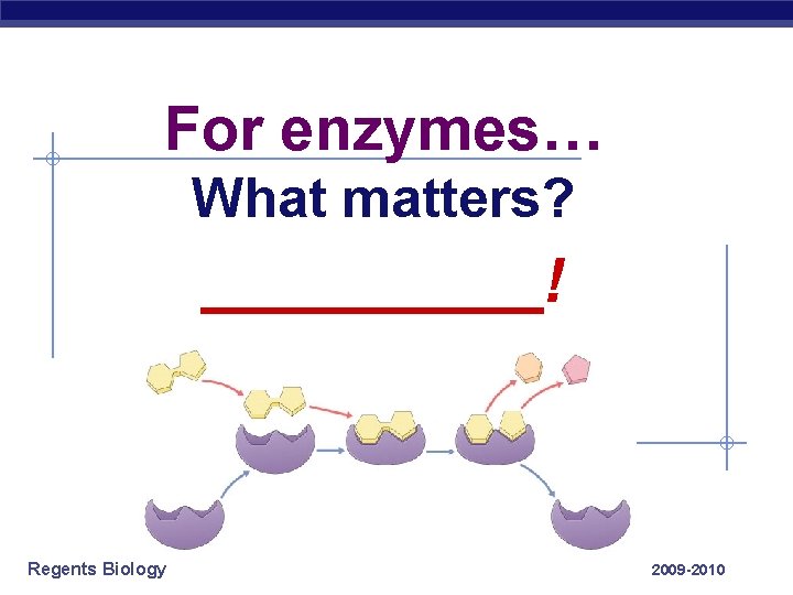 For enzymes… What matters? _____! Regents Biology 2009 -2010 