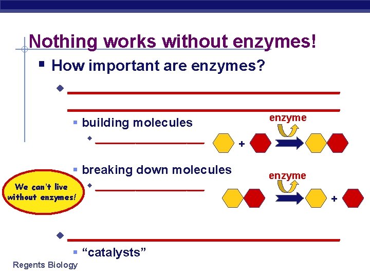 Nothing works without enzymes! § How important are enzymes? u __________________________________ § building molecules