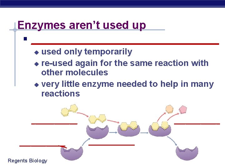 Enzymes aren’t used up § __________________ used only temporarily u re-used again for the