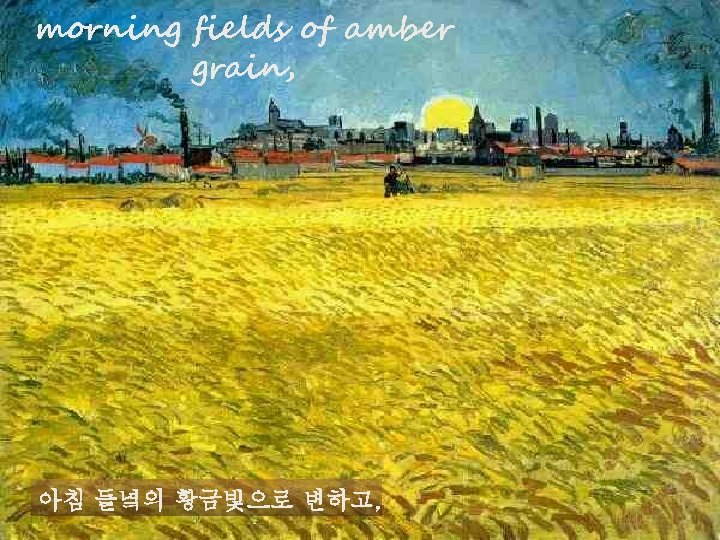 morning fields of amber grain, 아침 들녘의 황금빛으로 변하고, 