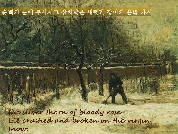 순백의 눈에 부서지고 상처받은 새빨간 장미의 은빛 가시 the silver thorn of bloody rose