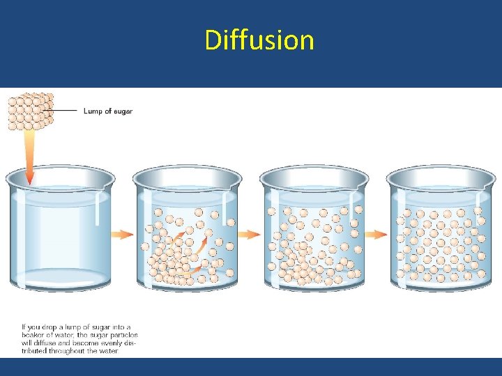 Diffusion 