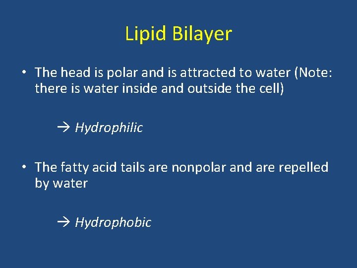 Lipid Bilayer • The head is polar and is attracted to water (Note: there