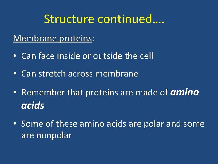 Structure continued…. Membrane proteins: • Can face inside or outside the cell • Can