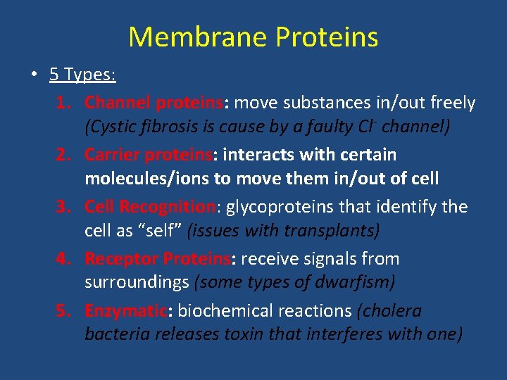 Membrane Proteins • 5 Types: 1. Channel proteins: move substances in/out freely (Cystic fibrosis