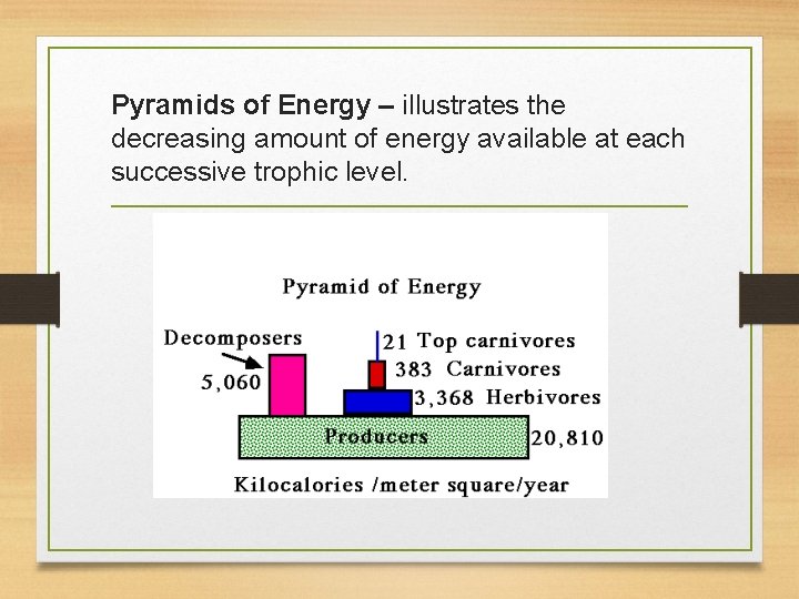 Pyramids of Energy – illustrates the decreasing amount of energy available at each successive