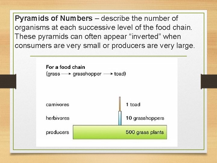 Pyramids of Numbers – describe the number of organisms at each successive level of