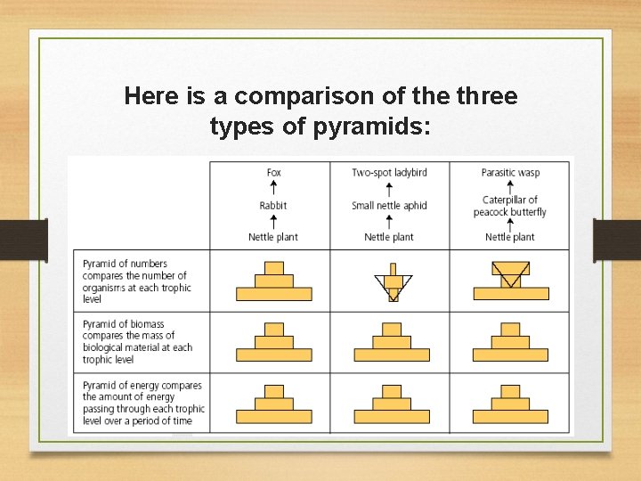 Here is a comparison of the three types of pyramids: 