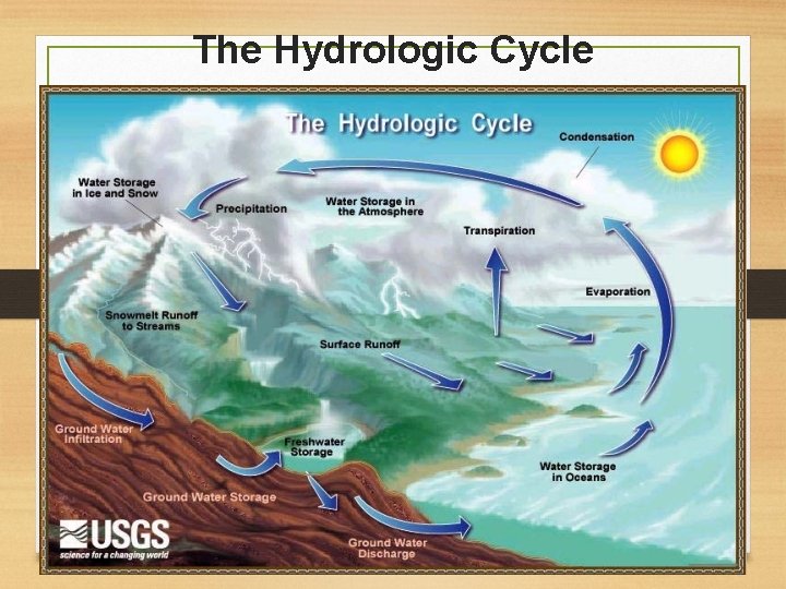 The Hydrologic Cycle 